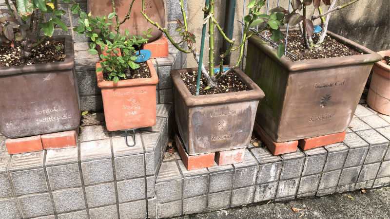 四角い鉢の通気性改善でレンガなどを敷いたバラ