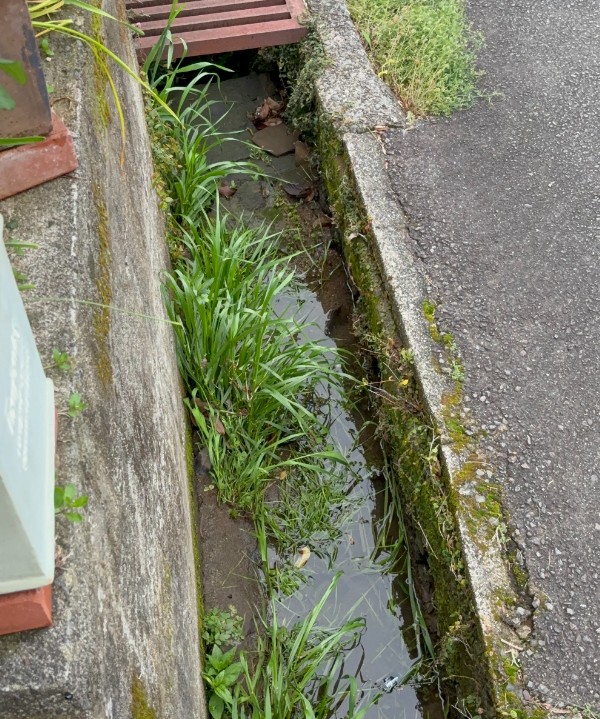 強風により丸い鉢が落下した側溝